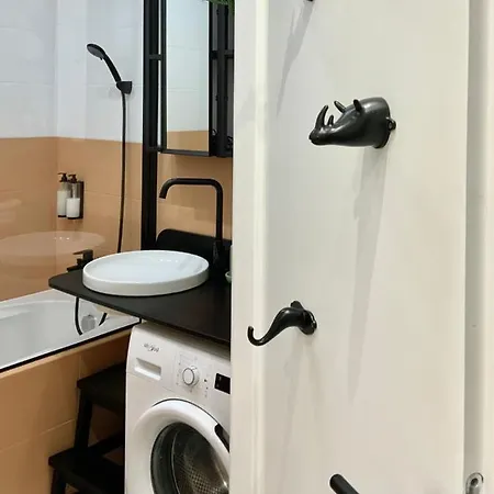 Urban Jungle By Zoom