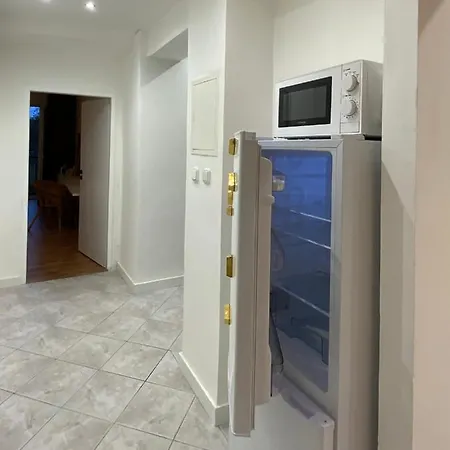 Urban Jungle By Zoom