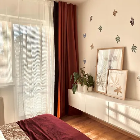 Daire Urban Jungle By Zoom *